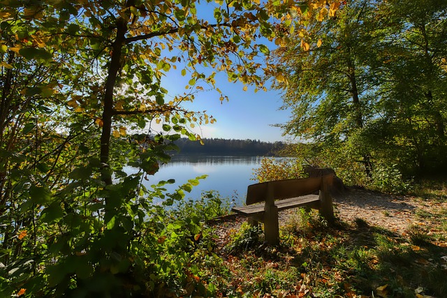 最终帮助巴 最终帮助巴