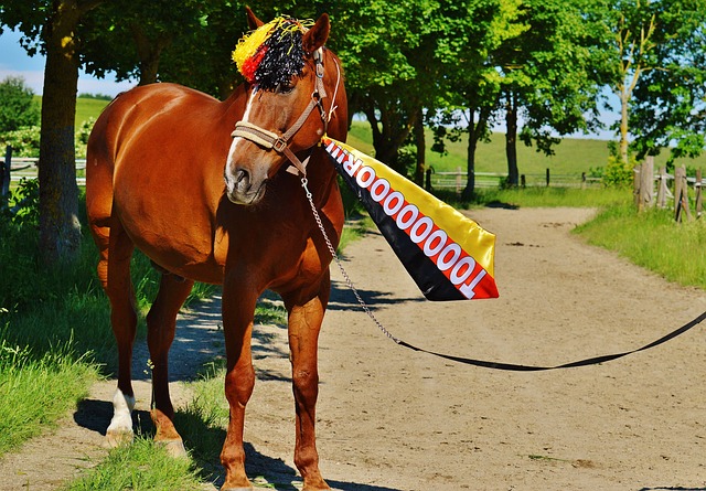 隨著主力前 隨著主力前