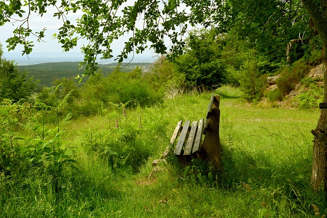 足坛腐败问 足坛腐败问