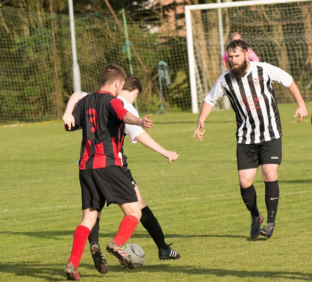 哪个阶段 哪个阶段