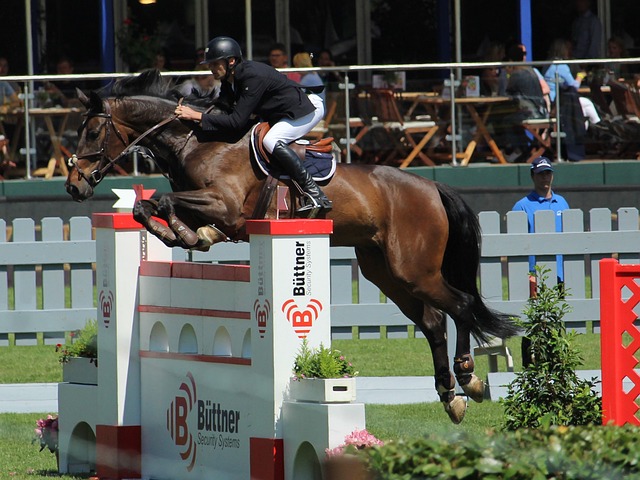 合理分配与 合理分配与